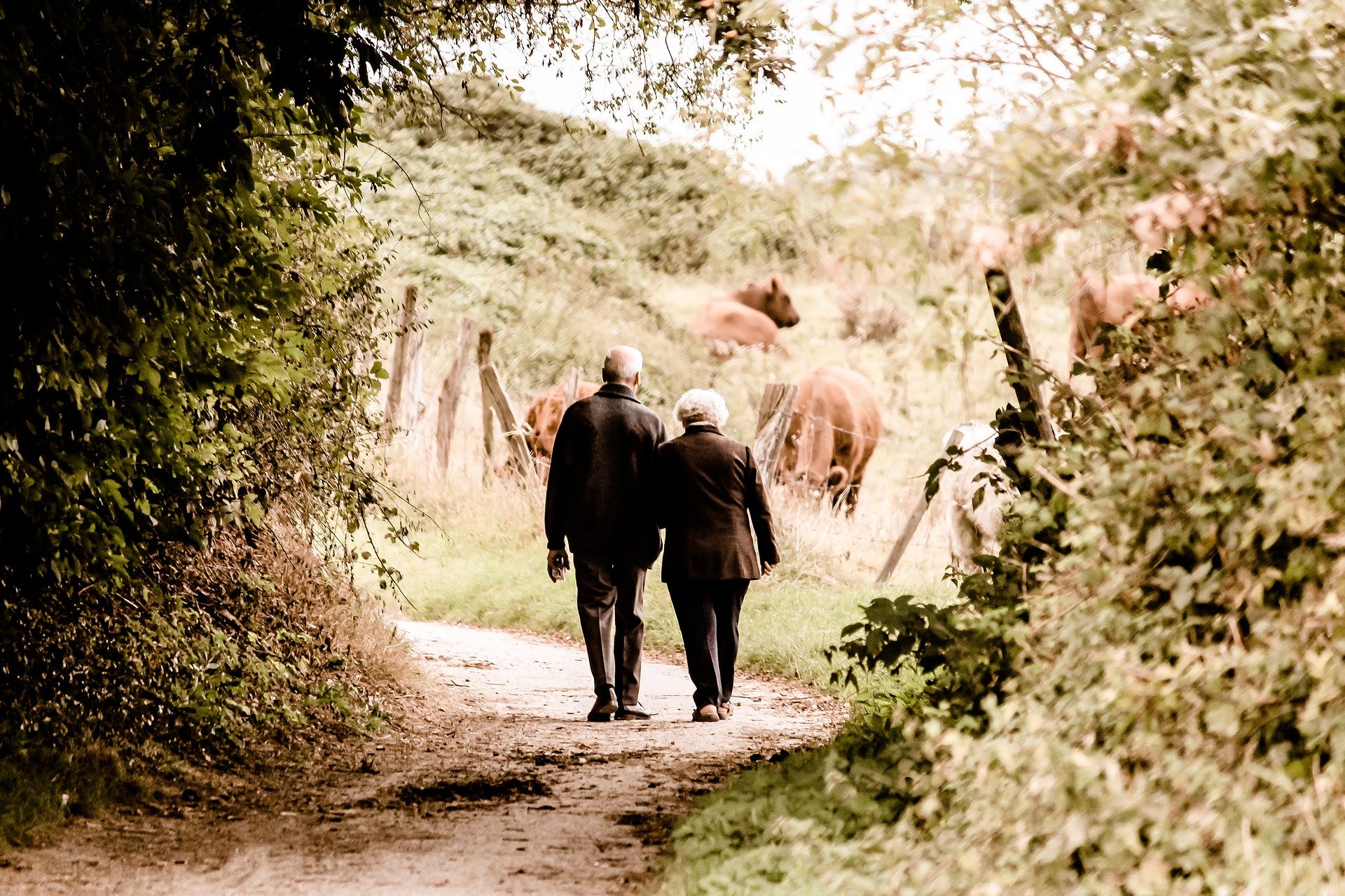 elderly people walking